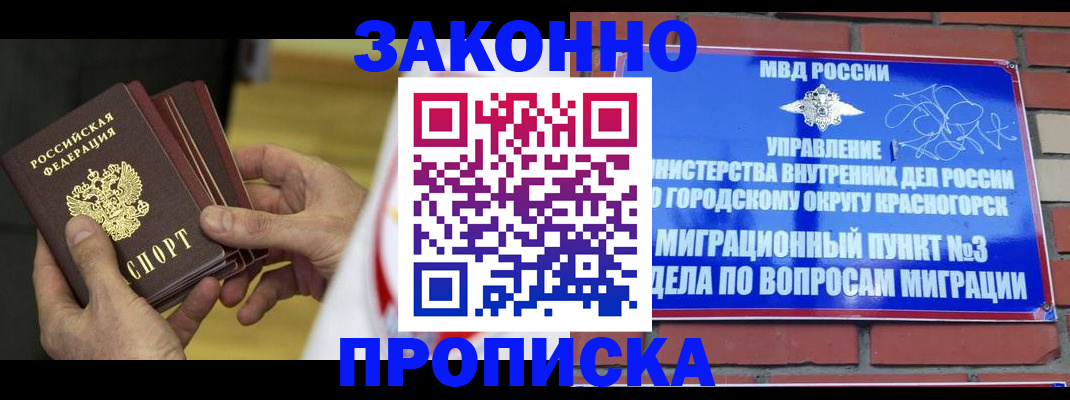 прописка для школы в Галиче